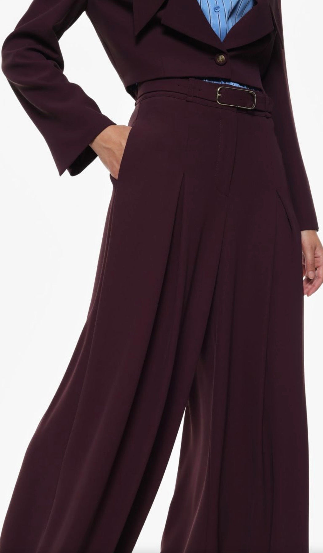 Pantaloni Imperial Palazzo con cintura e pince Prugna